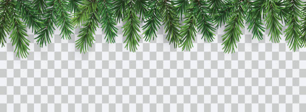 ilustraciones, imágenes clip art, dibujos animados e iconos de stock de patrón o marco de navidad sin costuras decorativo vectorial con ramas de coníferas verdes - pine tree evergreen tree backgrounds needle