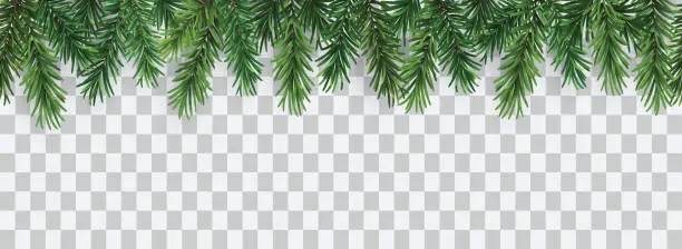 Vector illustration of Vector decorative seamless christmas pattern or frame with green coniferous branches