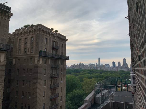 istock View of Central Park and buildings 1282873313
