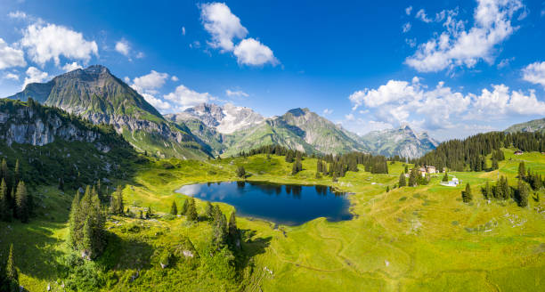 widok z lotu ptaka na idylliczne jezioro i góry - bregenzwald zdjęcia i obrazy z banku zdjęć
