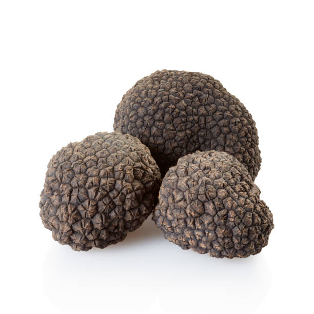 istock Black truffles group isolated on white, clipping path included 1282874916