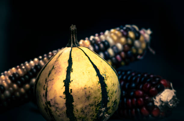 Autumn fruits arrangement at wood background, close up, no people