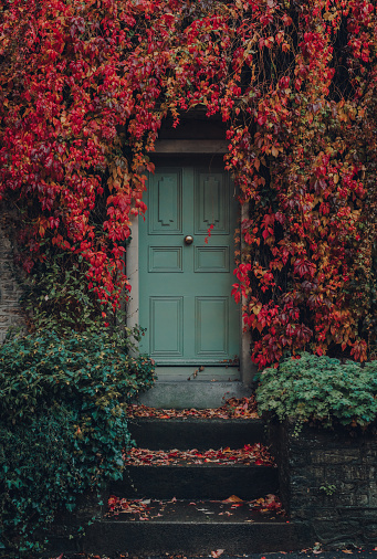 Red and yellow foliage around the front door of a traditional English house in Frome, Somerset, UK.