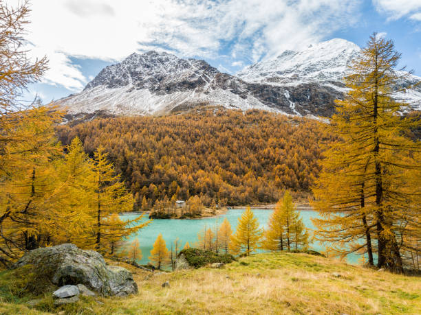 スイスアルプスのピッツパル氷河の下のパル湖の上のドローンによるエレリア画像 - engadine st moritz valley engadin valley ストックフォトと画像