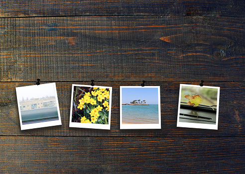 Four seasons on wooden background. Four photos of four seasons attached to dark wooden surface. Four photos of same park taken at different times of year. Different times of year spring, summer, autumn, winter