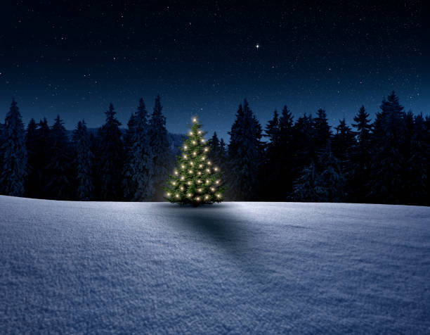 istock Winter landscape with fir forest and Christmas tree 1282877934