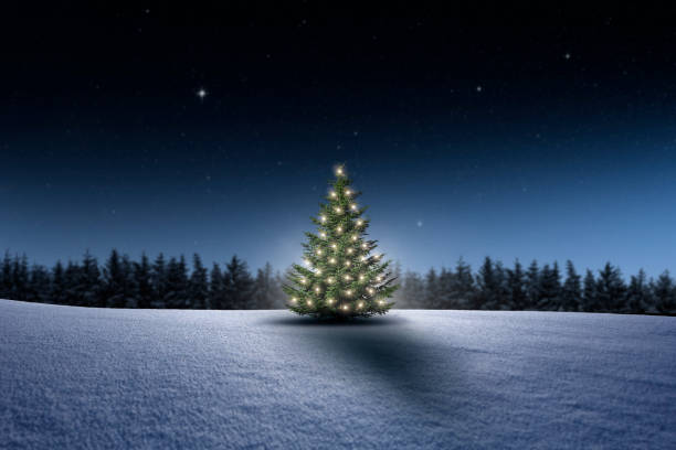 istock Winter landscape with fir forest and Christmas tree 1282877951