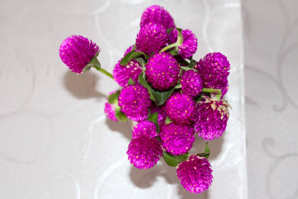 istock Purple flowers bouquet on the table 1282879466