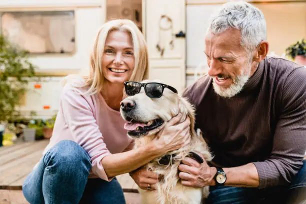 Photo of Happy senior couple putting sunglasses on their dog and laughing near van