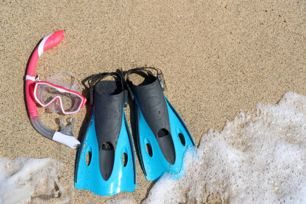 istock Beach vacation snorkel equipment flippers and mask 1282881536