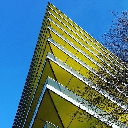 Beautiful lines and contrast of the yellow against the blue sky