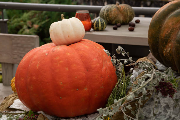 istock Small flea on a big top, Halloween themed 1282883283