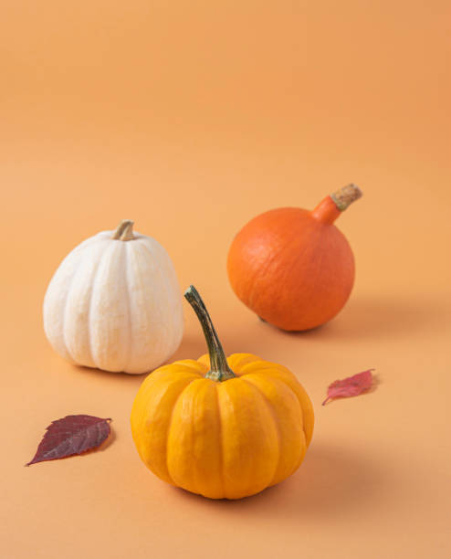 istock Three small decorative multicolored pumpkins and autumn leaf on an orange background. 1282885049