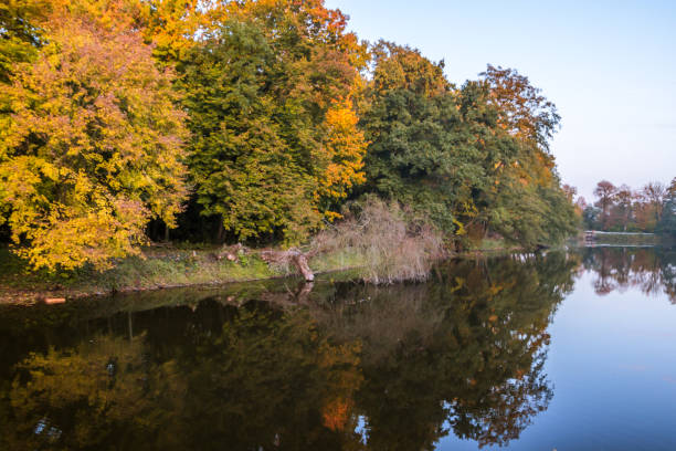 istock Autumn colors in the park 1282885151