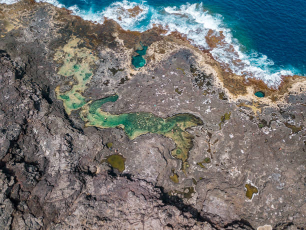 aerial view of los charcones. lanzarote. spain. bathers. swimming. canary islands - lanzarote canary islands volcano green imagens e fotografias de stock