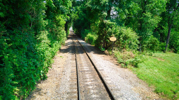 istock Old Rail Road Track going Thru Woods 1282889034