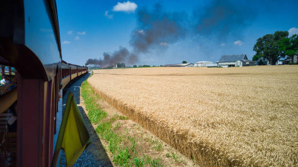 tren de pasajeros de vapor que viaja a lo largo del campo de trigo - railroad spikes fotografías e imágenes de stock