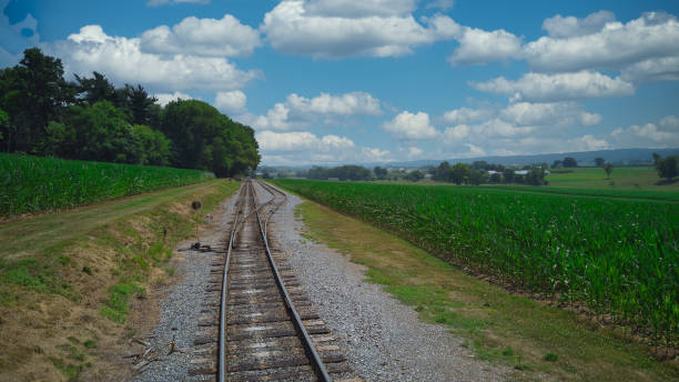 old rail road track going thru countryside - railroad spikes imagens e fotografias de stock
