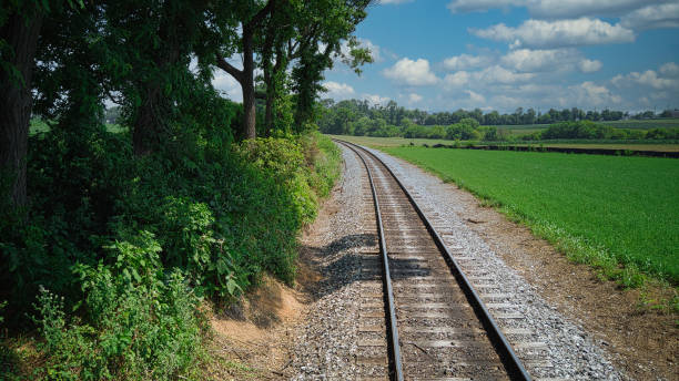 old rail road track going thru woods and a curve - railroad spikes imagens e fotografias de stock