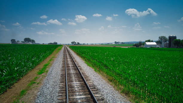 old rail road track going thru countryside - railroad spikes fotografías e imágenes de stock