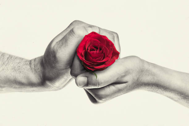 istock Concept of love, gift giving, courtship. 1282890254