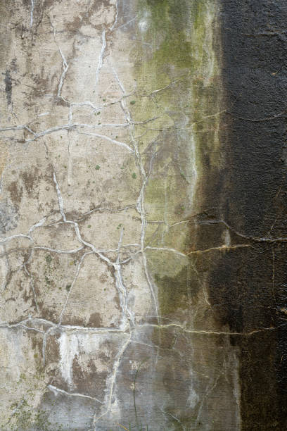 istock Abstract colorful cement wall texture and background with cracks 1282890376