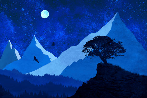 lonely tree and the night owls