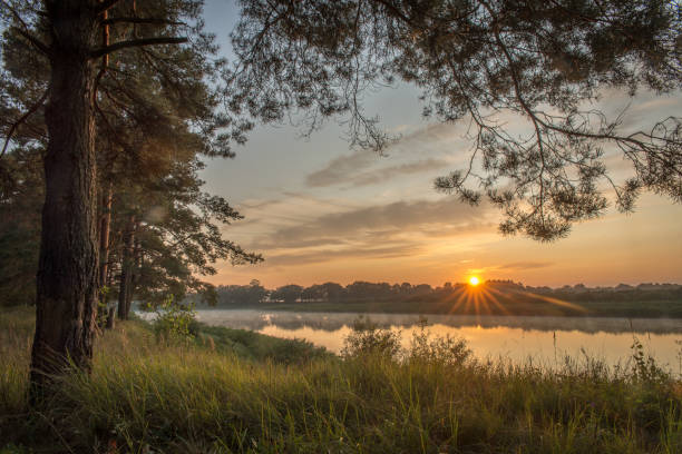 istock Beautiful dawn over the river. 1282895581
