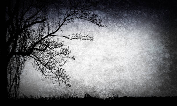 istock Spooky Tree Silhouette with Copy Space - Scary, Moody, Atmospheric 1282895748