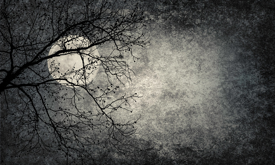 Black and White Full Moon on Scary Night with Tree Silhouette - Copy space. Elements of this image furnished by NASA.  URL:  https://images-assets.nasa.gov/image/201408100002HQ/201408100002HQ~medium.jpg