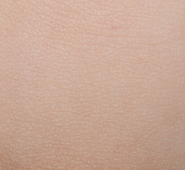 istock Detailed human skin background 1282897917