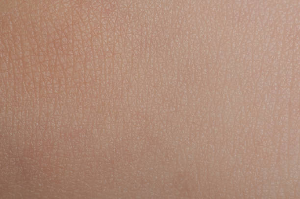 istock Pattern of clean human skin 1282897924