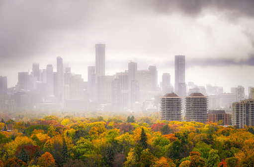 Toronto autumn skyline with fog near downtown skyscrapers and tree canopy in fall colors in foreground. CN Tower partially visible.