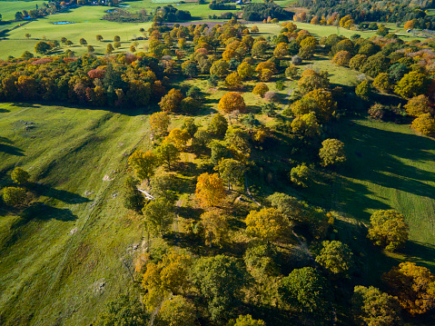 Drone shots from the national special Danish nature Svanninge Bakker. Location the island Funen near Faaborg city. Warm saturated colors. Trees are changing color and a slight haze in the air