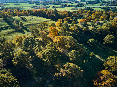 Drone shots from the national special Danish nature Svanninge Bakker. Location the island Funen near Faaborg city. Warm saturated colors. Trees are changing color and a slight haze in the air