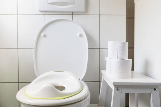 istock Toilet with child seat 1282899196