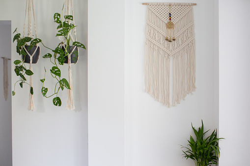 Two plants hang in a hanging basket. A macrame hangs on the wall