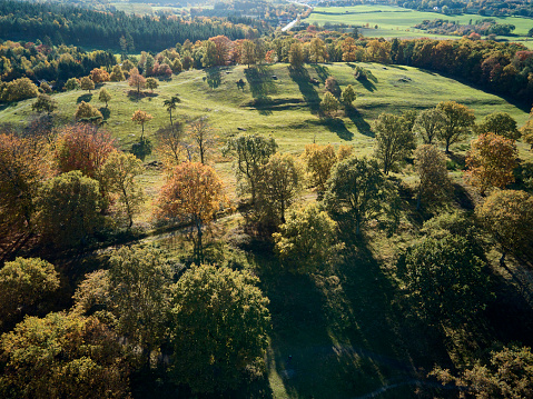 Drone shots from the national special Danish nature Svanninge Bakker. Location the island Funen near Faaborg city. Warm saturated colors. Trees are changing color and a slight haze in the air