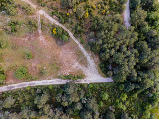 istock zenithal view from a drone with a natural way and trees and grass 1282906063
