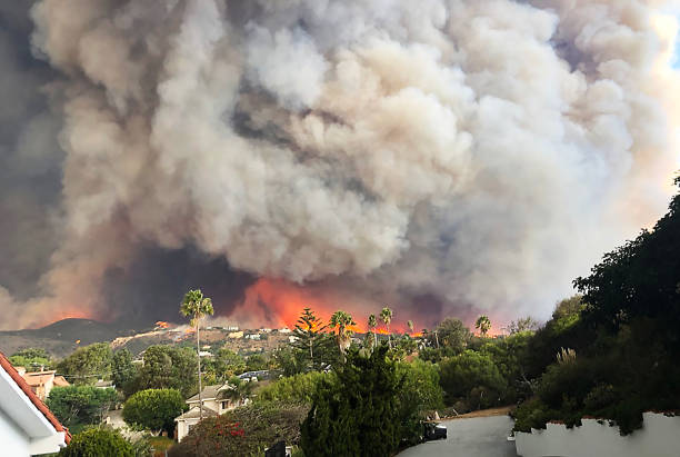 A snapshot of smoke rising from the Eaton Fire in the city of Altadena near the San Gabriel Mountains, as seen from a park in Los Angeles County, CA.