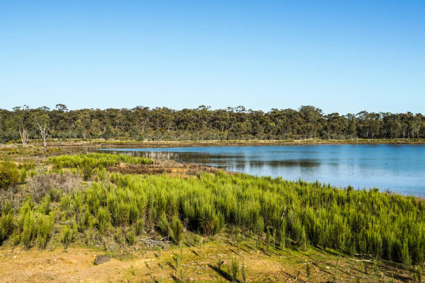 istock Bendigo, Victoria, Australia 1282912583