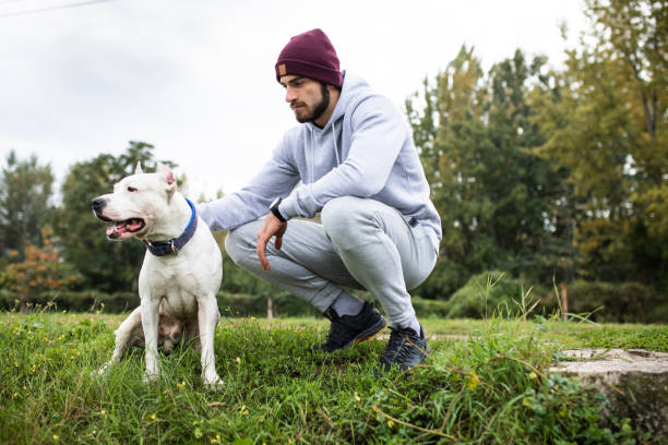 istock A handsome young man petting his dog 1282913795