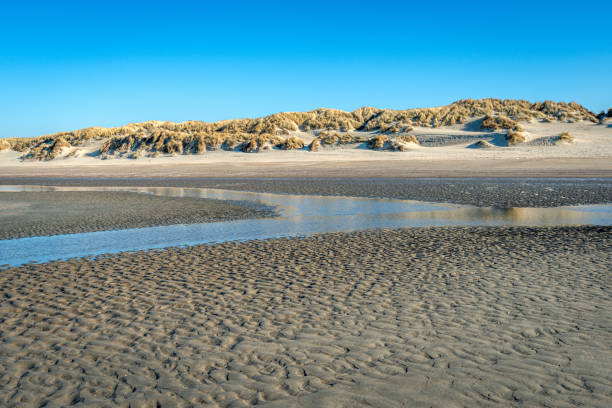 istock Dutch North Sea beach at low tide on a sunny winter day 1282913843