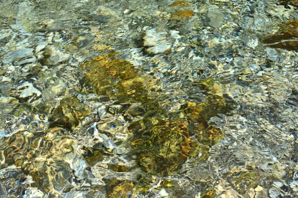 istock Water spring Blue Eye in Albania 1282913877