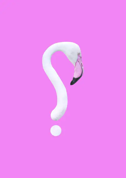 Photo of Contemporary collage. 3D illustration. White flamingo in the form of a question mark on a pink background