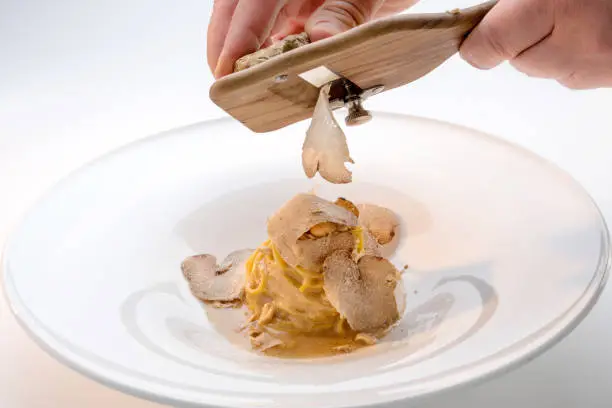 serve the white truffle from Alba in Italy with a slicer on a plate of tagliolini-spaghetti with egg, white background