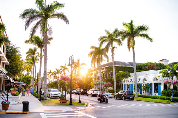 Palm trees on street in Naples, Florida beach city at sunset with sunlight, cars and people Naples, USA - April 29, 2018: Palm trees with street road in Florida downtown beach city town during sunset with sunlight, cars and people collier county stock pictures, royalty-free photos & images
