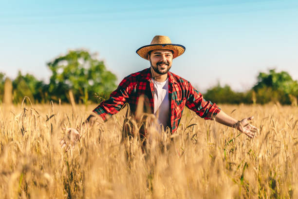 istock Cheerful man enjoys in the wheat field 1282920130