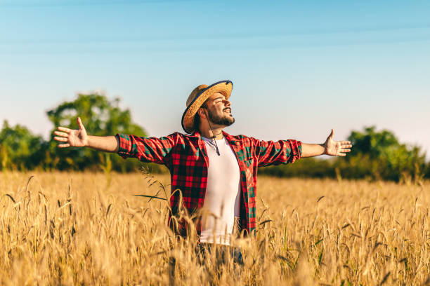 istock Cheerful man enjoys in the wheat field 1282920755