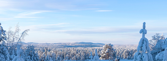 Lapland nature, winter landscape. Snow-covered trees and a mountain on the horizon. Panoramic photo